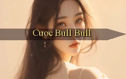 Cược Bull Bull