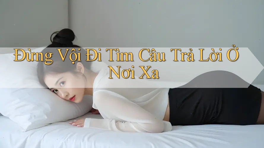 Đừng Vội Đi Tìm Câu Trả Lời Ở Nơi Xa Đừng Vội Đi Tìm Câu Trả Lời Ở Nơi Xa