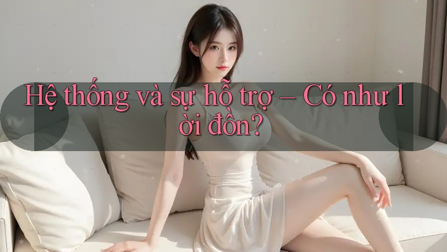 Hệ thống và sự hỗ trợ – Có như lời đồn?