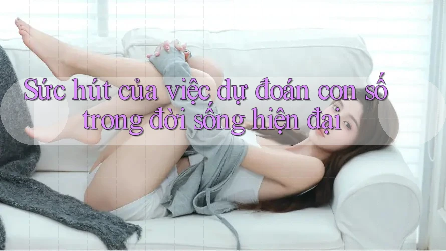 Sức hút của việc dự đoán con số trong đời sống hiện đại Sức hút của việc dự đoán con số trong đời sống hiện đại