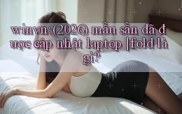 winvn (2026) mẫu sẵn đã được cập nhật laptop fold là gì